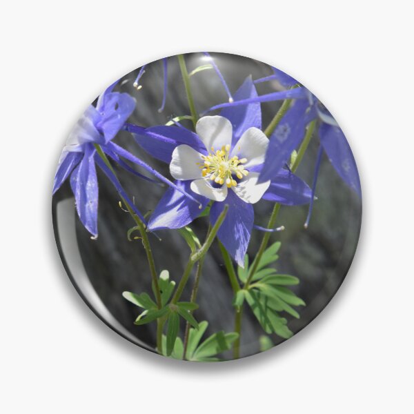 Item preview, Four Columbines  designed and sold by schesnut.