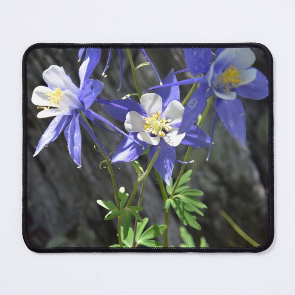 Item preview, Four Columbines designed and sold by schesnut.