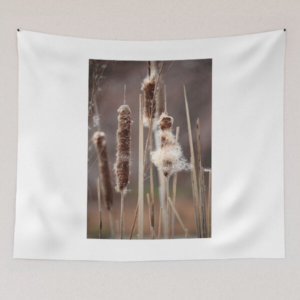 Item preview, Common Cattails designed and sold by Cynthia48.
