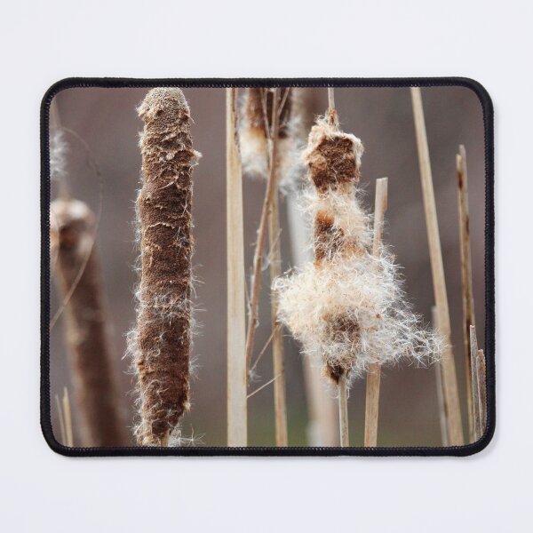 Item preview, Common Cattails designed and sold by Cynthia48.