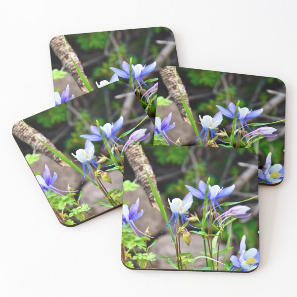 Item preview, Columbines looking up  designed and sold by schesnut.