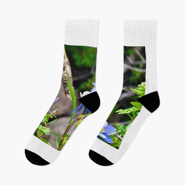Item preview, Columbines looking up  designed and sold by schesnut.