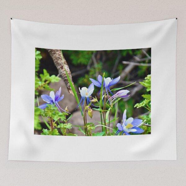 Item preview, Columbines looking up  designed and sold by schesnut.