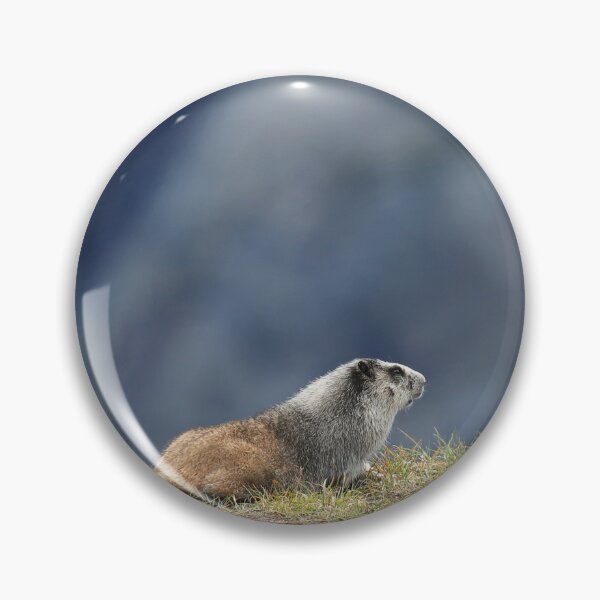 Item preview, Marmot view II designed and sold by zumi.