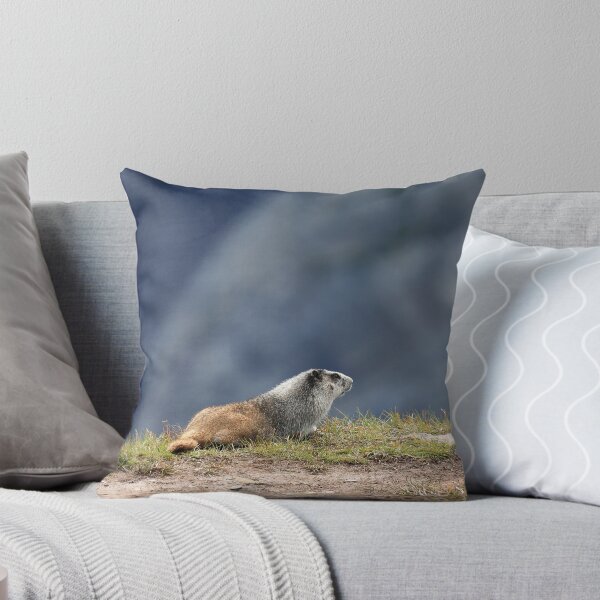 Item preview, Marmot view II designed and sold by zumi.