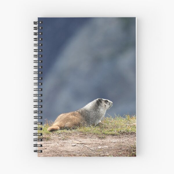 Item preview, Marmot view II designed and sold by zumi.