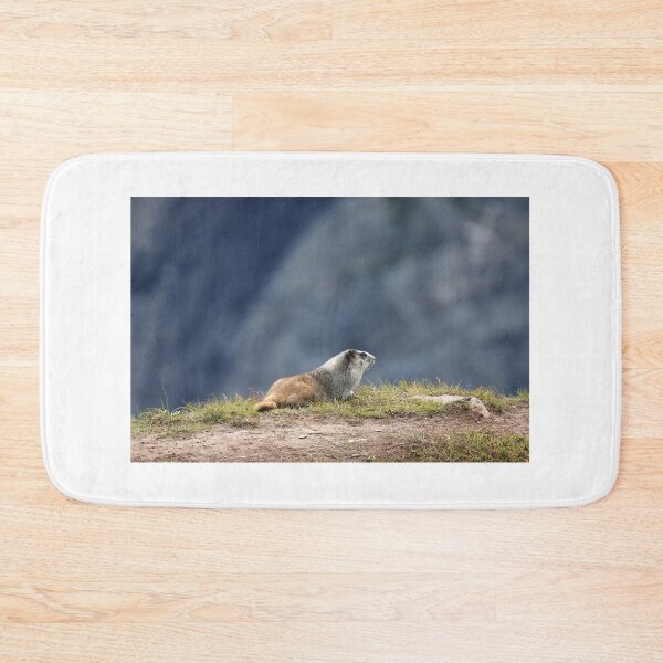Item preview, Marmot view II designed and sold by zumi.