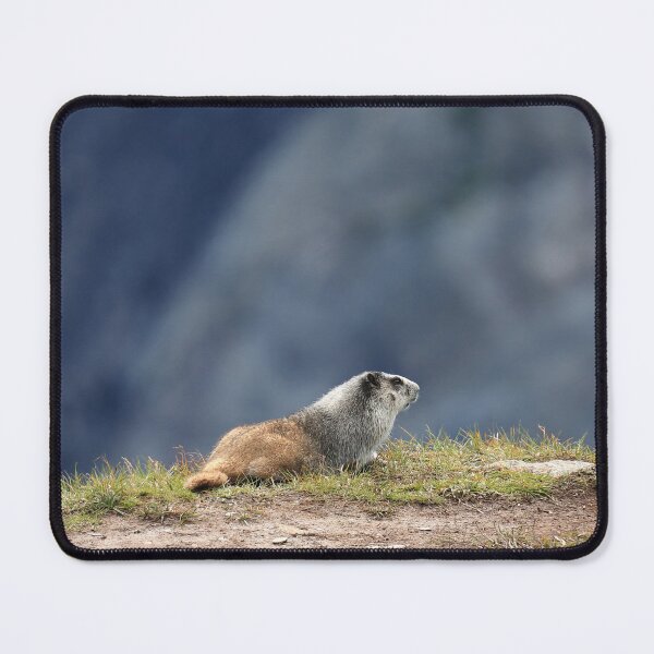 Item preview, Marmot view II designed and sold by zumi.