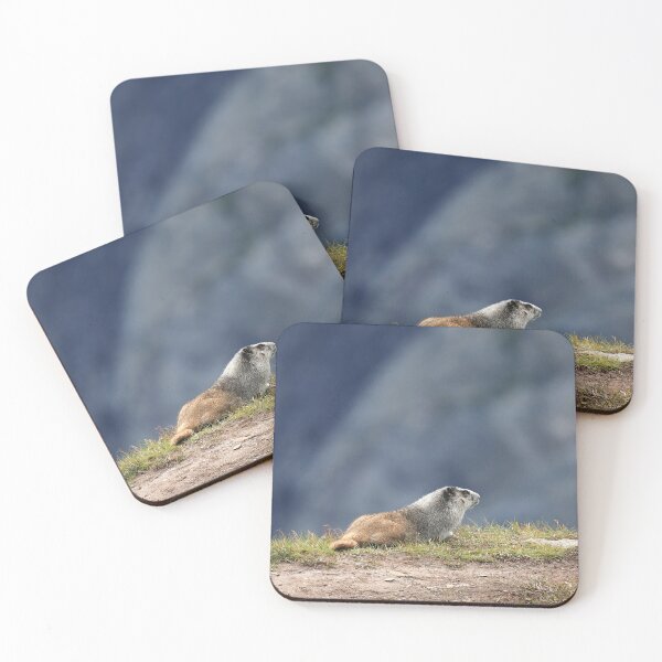 Item preview, Marmot view II designed and sold by zumi.