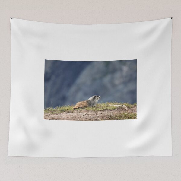 Item preview, Marmot view II designed and sold by zumi.