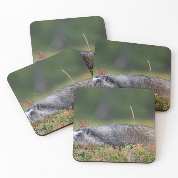 Item preview, Marmot and berries designed and sold by zumi.