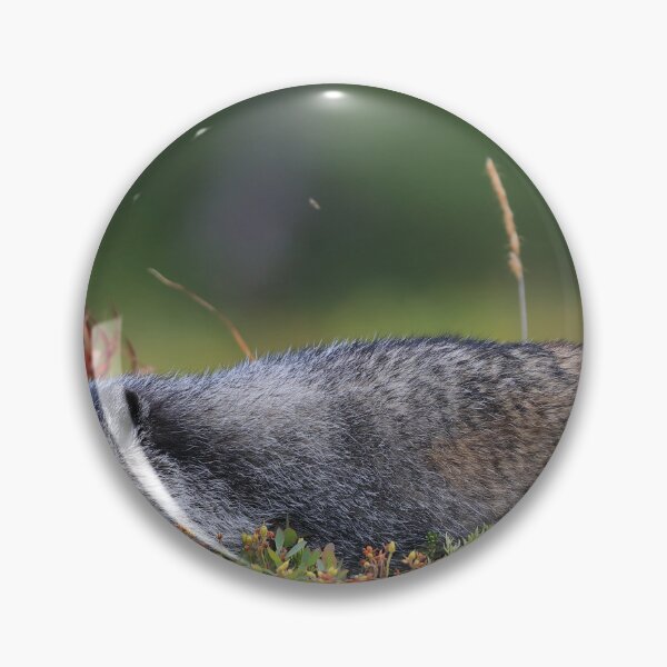Item preview, Marmot and berries designed and sold by zumi.