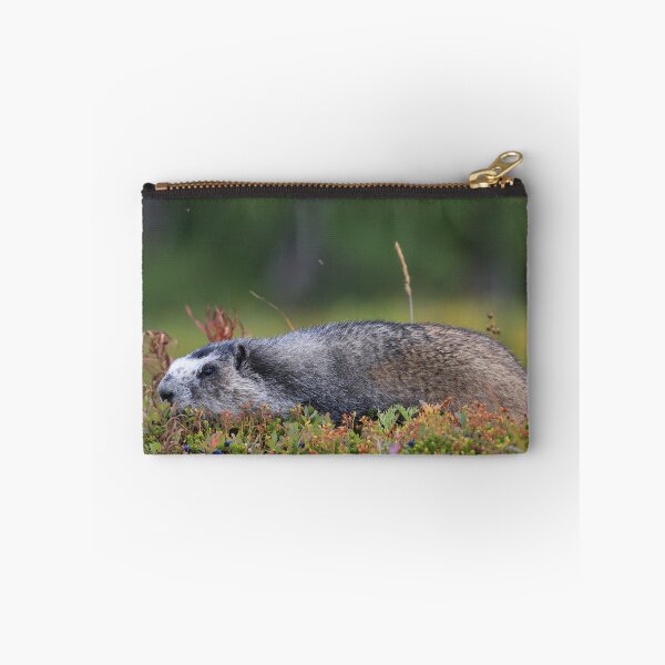 Item preview, Marmot and berries designed and sold by zumi.