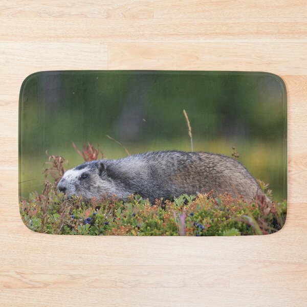 Item preview, Marmot and berries designed and sold by zumi.
