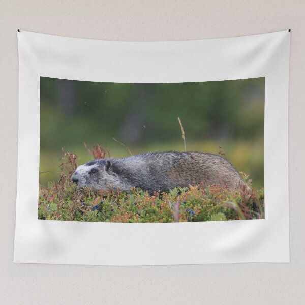 Item preview, Marmot and berries designed and sold by zumi.