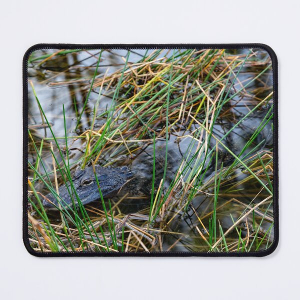 Item preview, Baby Aligator in the water designed and sold by SeminoleB.
