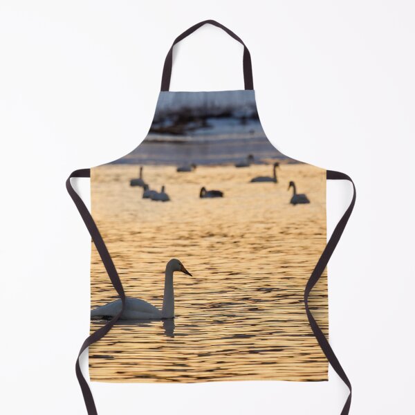 Item preview, Whooper swans in the yellow light designed and sold by Jouko Lehto Photography.