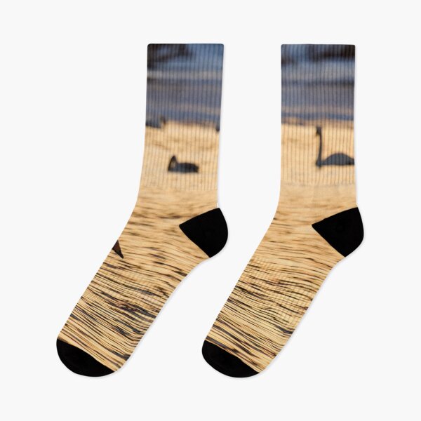 Item preview, Whooper swans in the yellow light designed and sold by Jouko Lehto Photography.