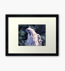 You Said WHAT?? Framed Print