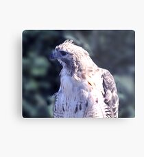 You Said WHAT?? Metal Print