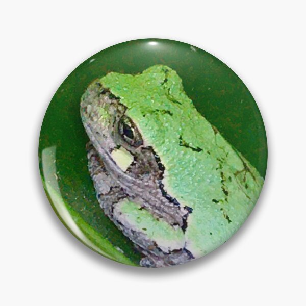 Item preview, Pilea Frog designed and sold by turddemon.