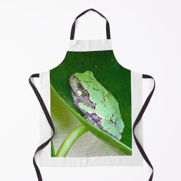 Item preview, Pilea Frog designed and sold by turddemon.