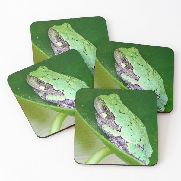 Item preview, Pilea Frog designed and sold by turddemon.