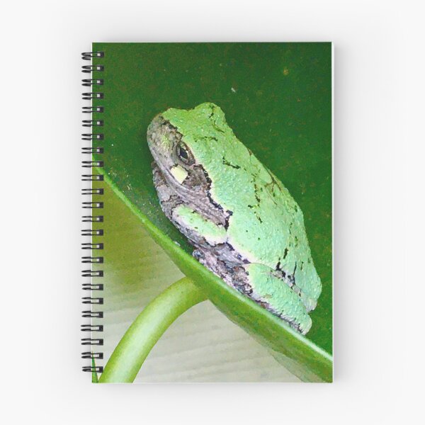 Item preview, Pilea Frog designed and sold by turddemon.