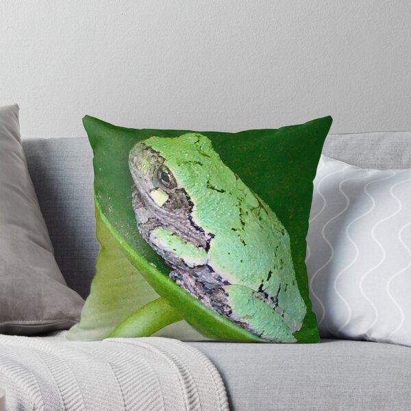Item preview, Pilea Frog designed and sold by turddemon.