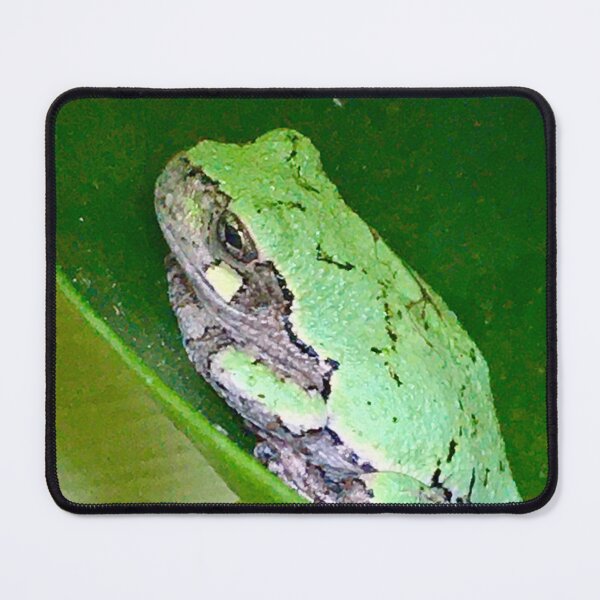 Item preview, Pilea Frog designed and sold by turddemon.