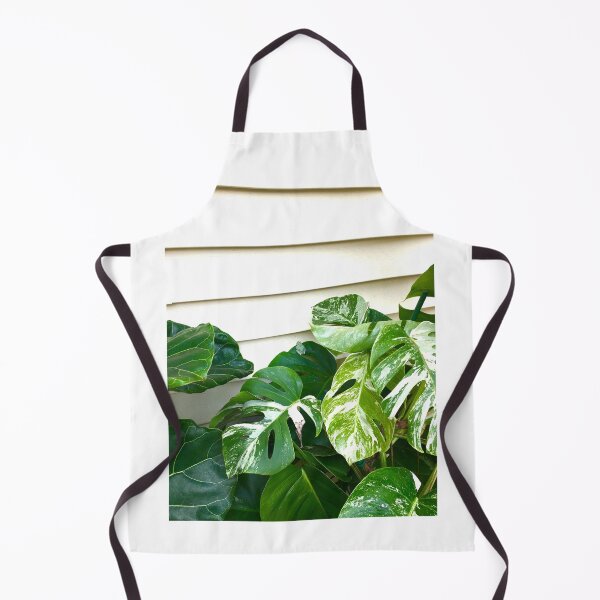 Item preview, Variegated Monstera Frog designed and sold by turddemon.