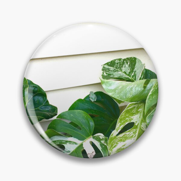 Item preview, Variegated Monstera Frog designed and sold by turddemon.