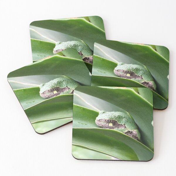 Item preview, Frog Tucked In Plant designed and sold by turddemon.