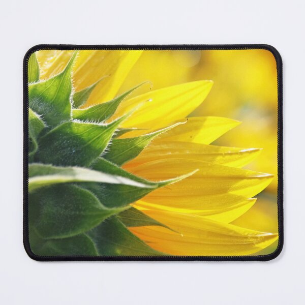 Item preview, Sunflower Back I designed and sold by Deb Oppermann.