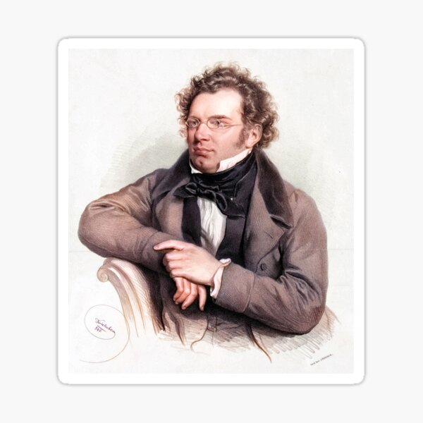 Item preview, Franz Schubert designed and sold by CrankyOldDude.