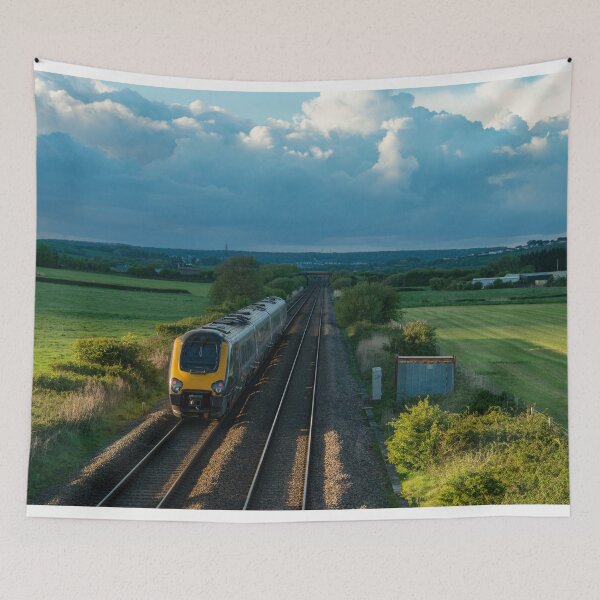 Item preview, Somerset Levels Voyager designed and sold by hawkie.