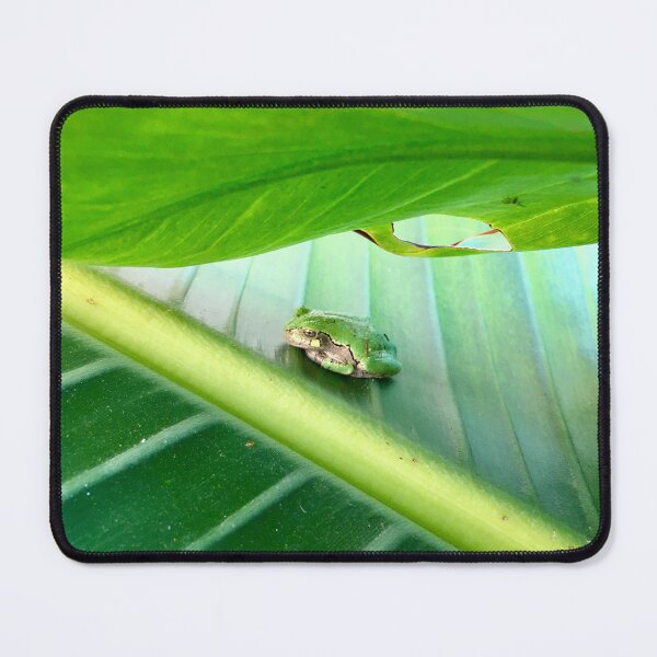 Item preview, Tiny Frog Big Leaf designed and sold by turddemon.