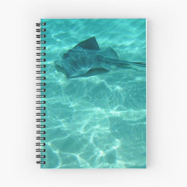 Item preview, Sting Ray on bottom of Caribbean Sea at Sting Ray City, Grand Cayman Island designed and sold by CommandoCrane.