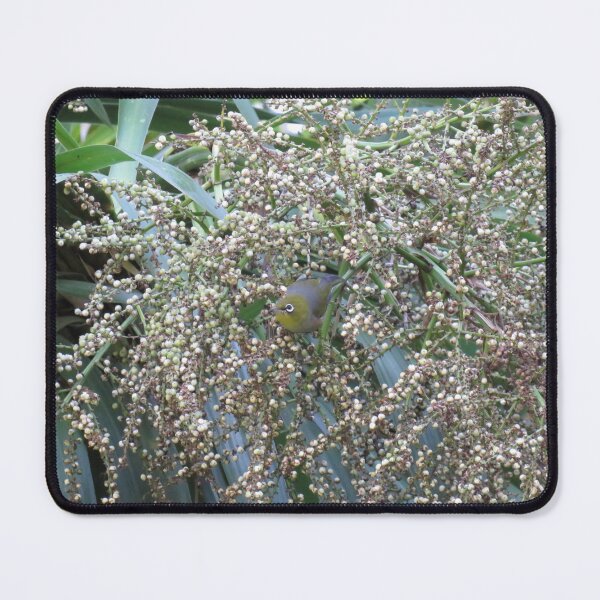 Item preview, Silvereye and white berries designed and sold by greentiger1.