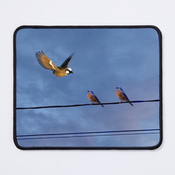 Item preview, Hello Spring! Fly with us 0504 designed and sold by MyWay-Bilja.