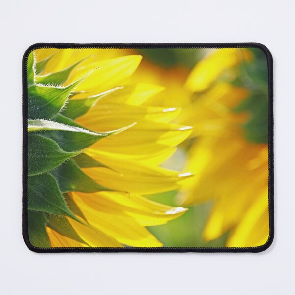 Item preview, Sunflower Back designed and sold by Deb Oppermann.