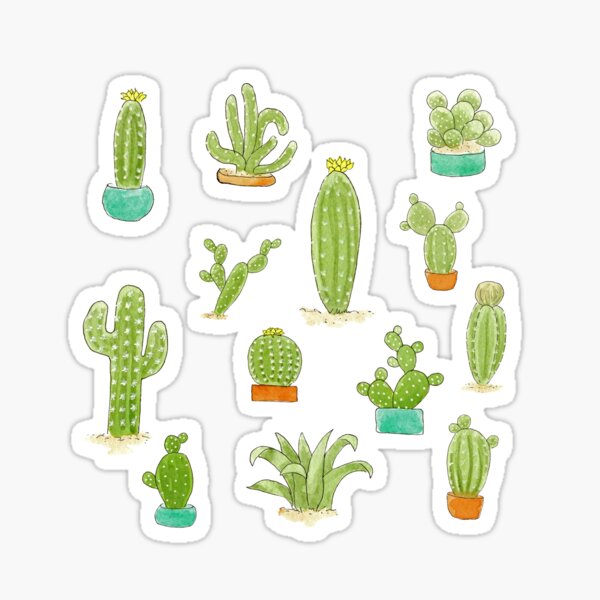 Cacti and Succulents Sticker