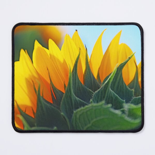 Item preview, Sunflower From Behind designed and sold by Deb Oppermann.
