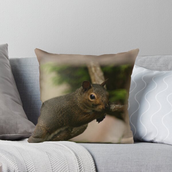 Item preview, Squirrel designed and sold by klphotographics.