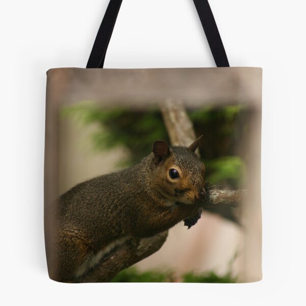 Item preview, Squirrel designed and sold by klphotographics.