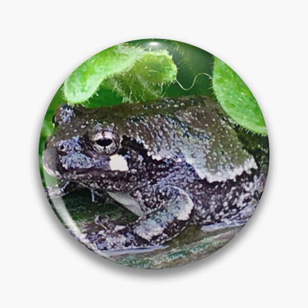Item preview, Black Tree Frog designed and sold by turddemon.