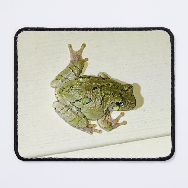 Item preview, Tender Frog designed and sold by turddemon.