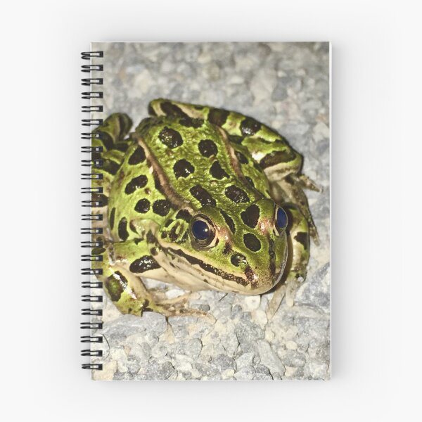 Item preview, Serious Frog designed and sold by turddemon.