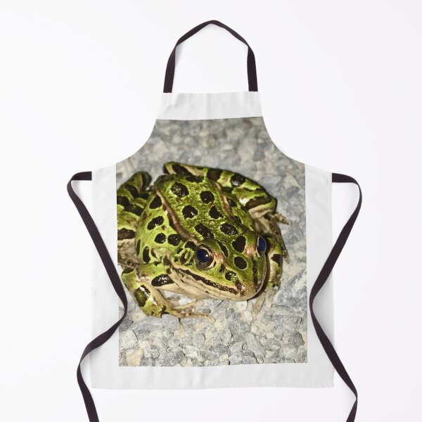 Item preview, Serious Frog designed and sold by turddemon.