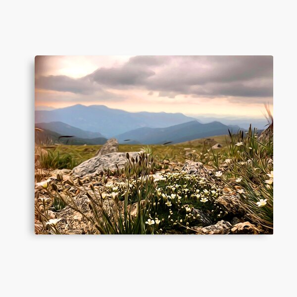 Item preview, Colorado sunset designed and sold by emmagfrey.